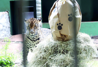 Zoológico ‘comemora’ Páscoa e  abre normalmente no feriadão