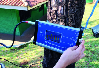 Cascavel passa usar tomógrafo para avaliar “saúde das árvores” com maior eficiência