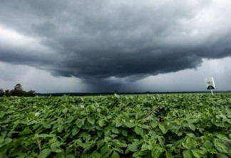 Seguro Rural: Riscos climáticos não devem ser subestimados