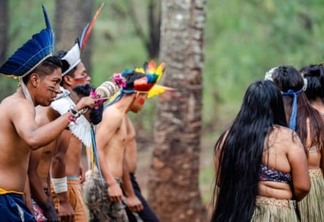 Censo mostra o número de indígenas no Paraná