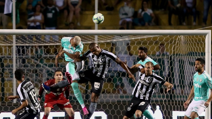 Palmeiras bate o Botafogo e volta a vencer no Brasileirão