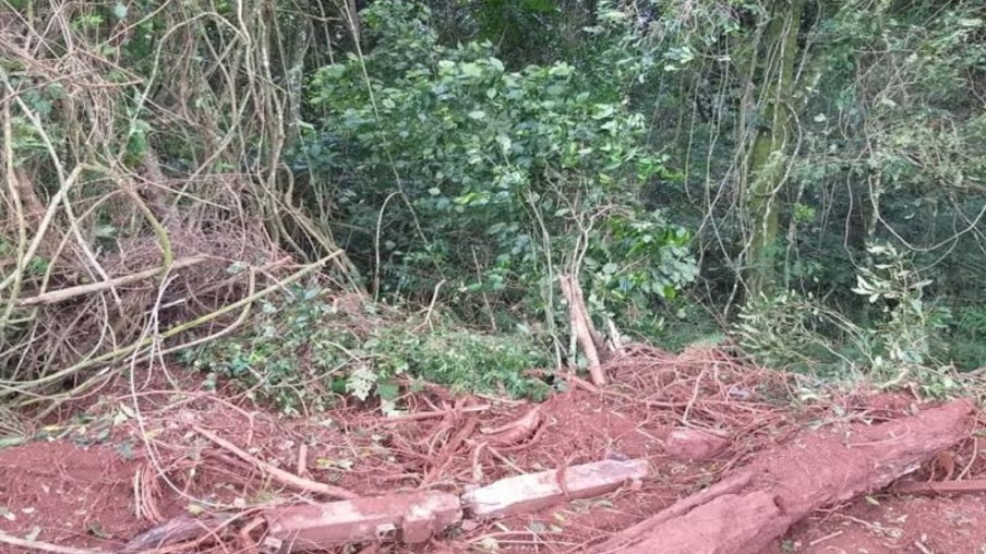 MPF denuncia vereador de Serranópolis do Iguaçu por crime ambiental