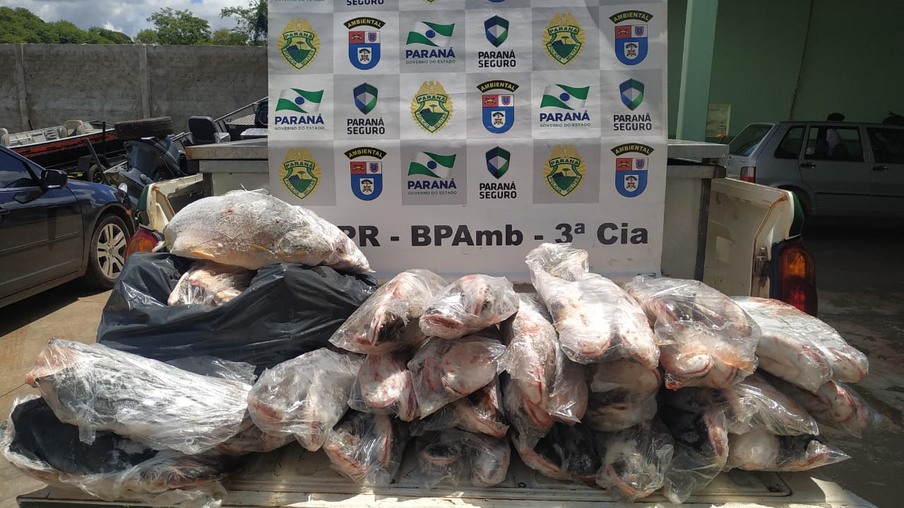 Polícia Ambiental apreende 118 quilos em pesca ilegal
