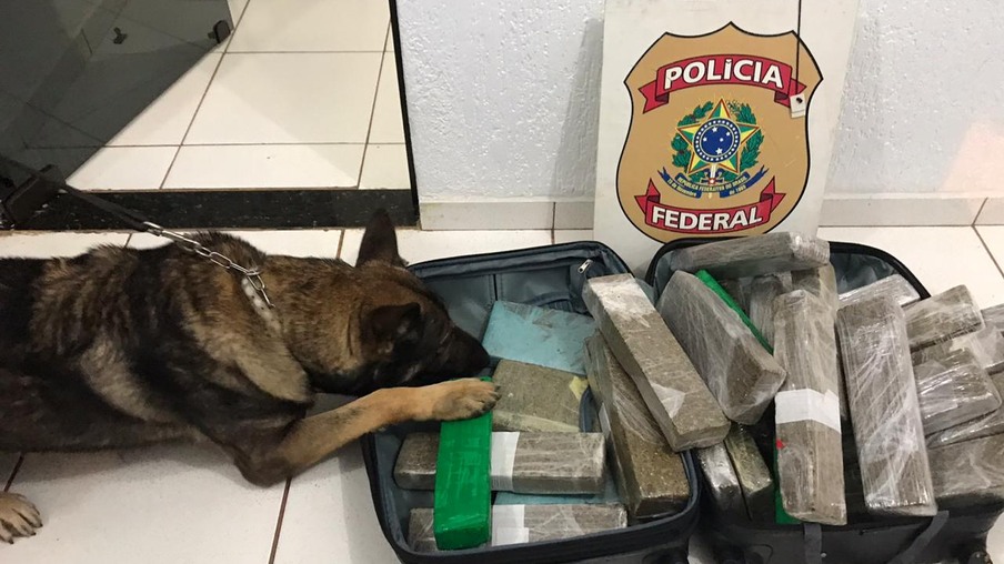 Polícia Federal prende homem em flagrante por tráfico de drogas em Céu Azul