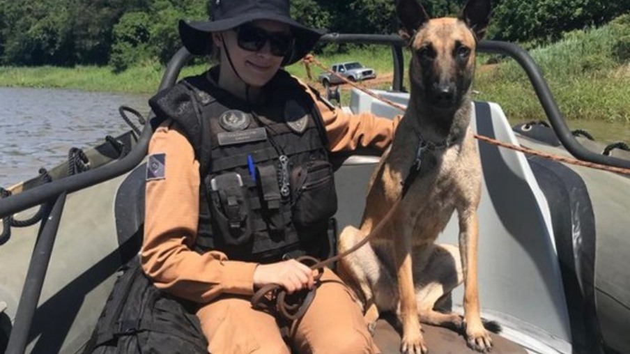 Cães farejadores dinamizam o patrulhamento do Batalhão de Polícia de Fronteira