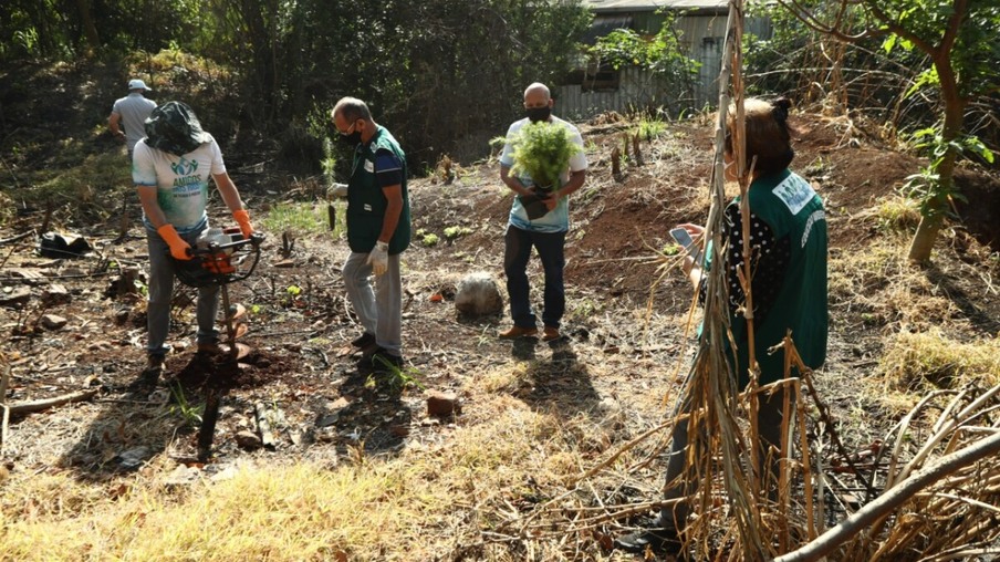Voluntários fazem limpeza e plantam de árvores no córrego Bezerra