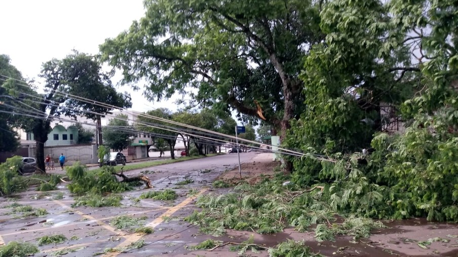 Ventos derrubam árvores e vários bairros de Cascavel ficam sem energia elétrica