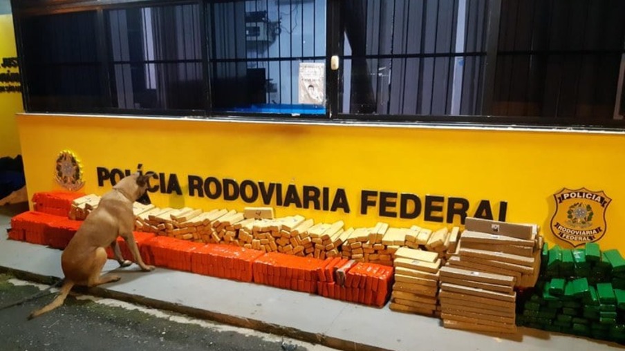 Meia tonelada de maconha é apreendida na região metropolitana de Curitiba