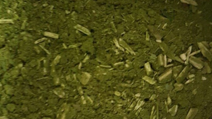 Ministério da Justiça vende 28 toneladas de erva-mate apreendidas na Operação Narcobroker