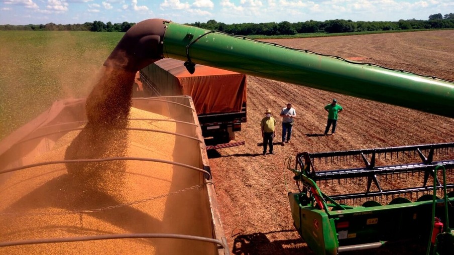Colheita de soja em Foz do Iguaçu começa com perspectivas positivas