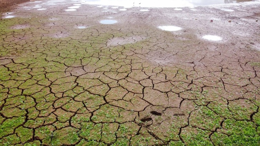 Levantamento do Simepar apontou que nove cidades, de quase todas as regiões do Estado, tiveram chuvas bem abaixo da média histórica entre os meses de junho de 2019 a março de 2020. Redução média na precipitação foi de 33% nos municípios pesquisados.
08/04/2020 - Foto: Geraldo Bubniak/AEN