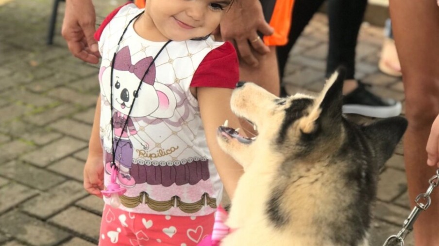 Missão canina: pets terapeutas estão de volta ao Hospital Municipal
