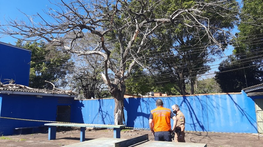 Defesa Civil de Foz possui equipe exclusiva para situações emergenciais com árvores