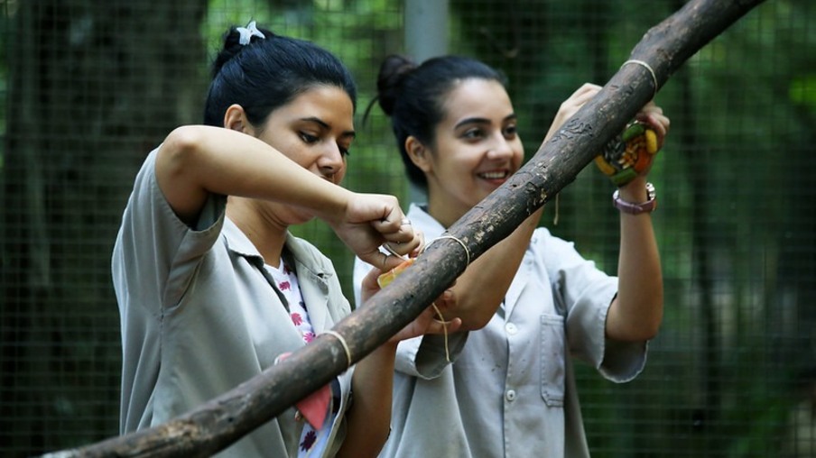 Prefeitura de Foz busca espaço mais adequado para animais do Zoológico Bosque Guarani