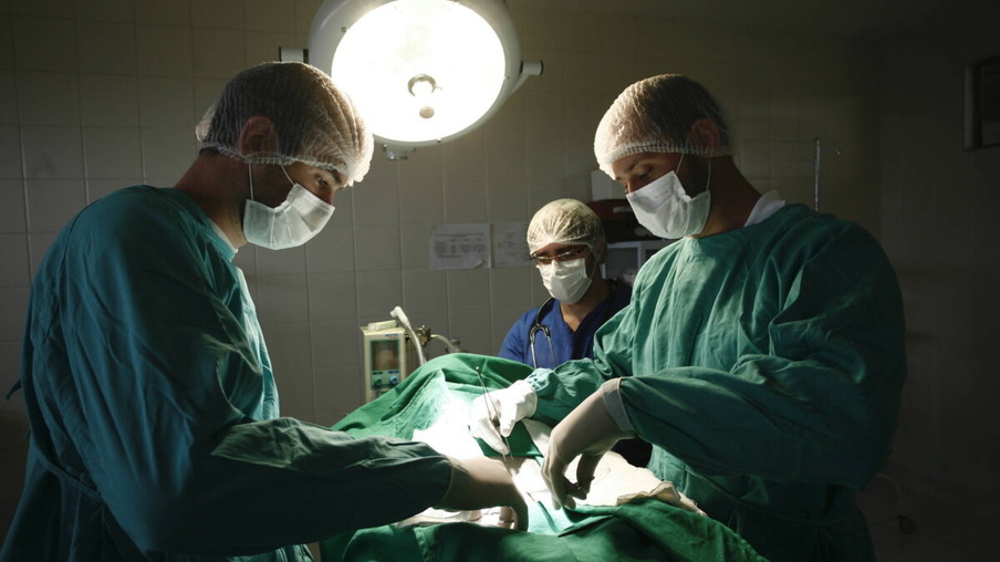 Governo destina R$ 1,2 milhão para hospitais veterinários das universidades estaduais