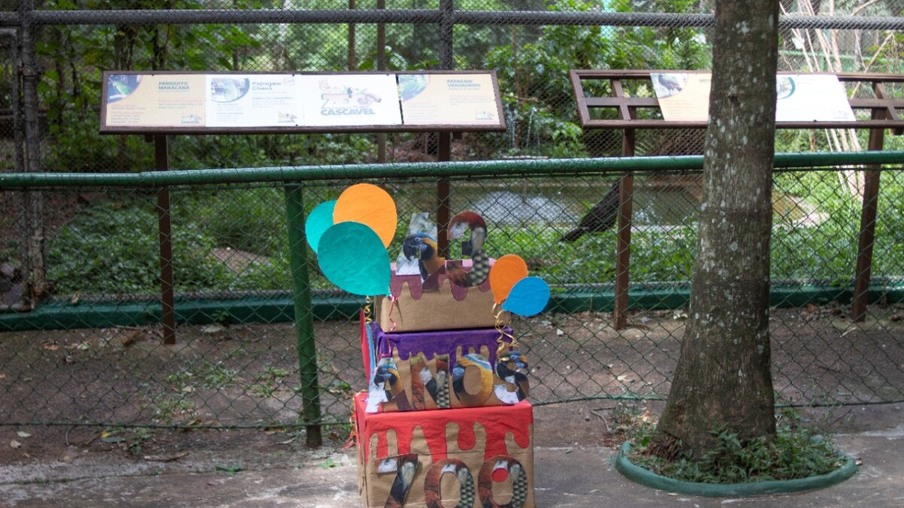 43 anos do Zoo: Animais recebem "festa" pela passagem de aniversário do parque