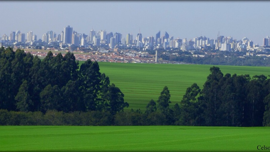 Oeste paranaense é reconhecido polo de inovação e tecnologia para o agronegócio