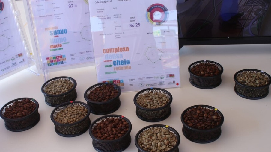 Em parceria com a Unioeste e a Seti, a Universidade Estadual de Maringá apresenta, no Show Rural Coopavel, um projeto que trabalha juntamente com os produtores de café