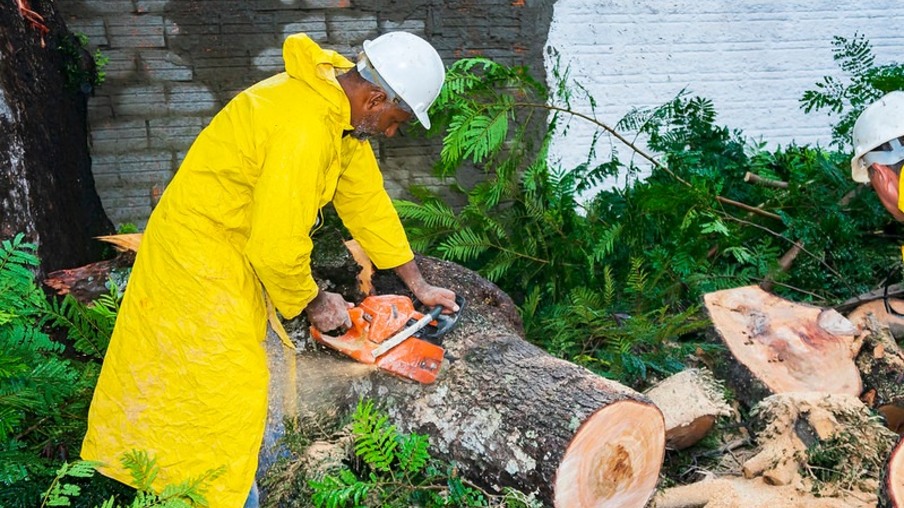 Equipes da Defesa Civil atuam na retirada de árvores e galhos derrubados pela chuva em Foz