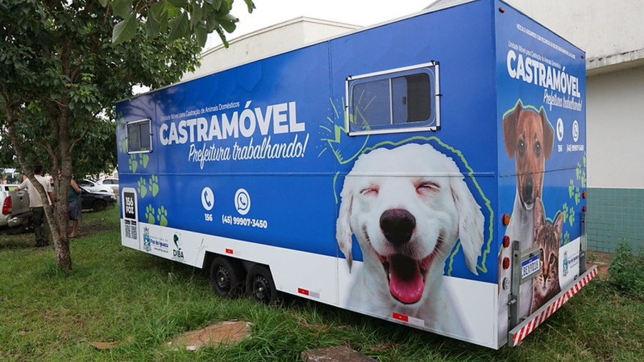 Prefeitura de Foz inicia castração de cães e gatos neste sábado na região do Porto Meira