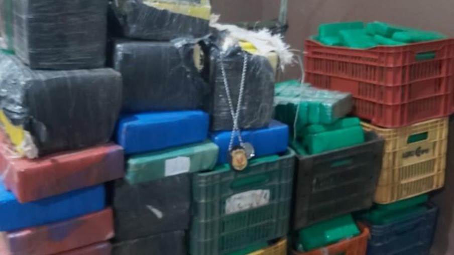 Polícia Civil apreende 510 quilos de maconha em Foz