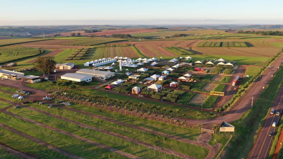 Primeiro Complexo Avícola do Oeste Paraná completa 40 anos