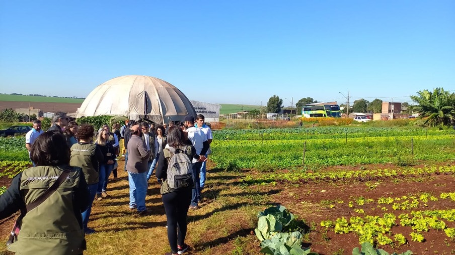 Representantes de 22 municípios conhecem o Programa Agricultura Urbana