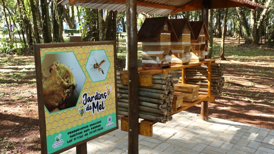 Zoológico é o primeiro espaço público a receber meliponário em Cascavel