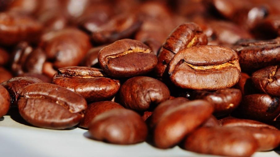 Exportação de café robusta cresce 4,7% em maio, aponta Cecafe
