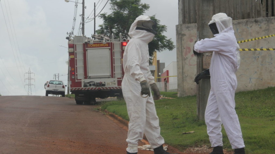 Ataque de abelhas é registrado em condomínio da região oeste de Cascavel