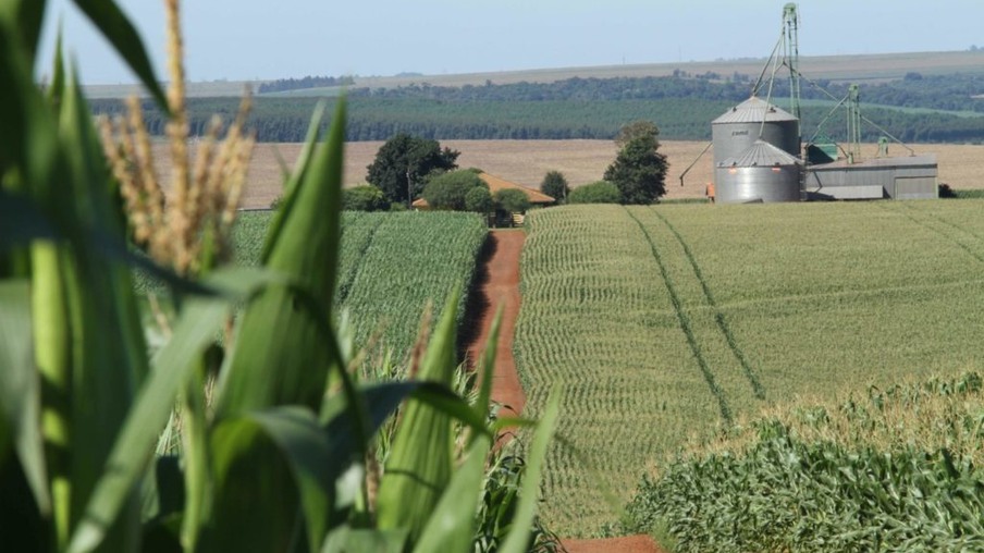 Governo e entidades pedem prorrogação do plantio do milho