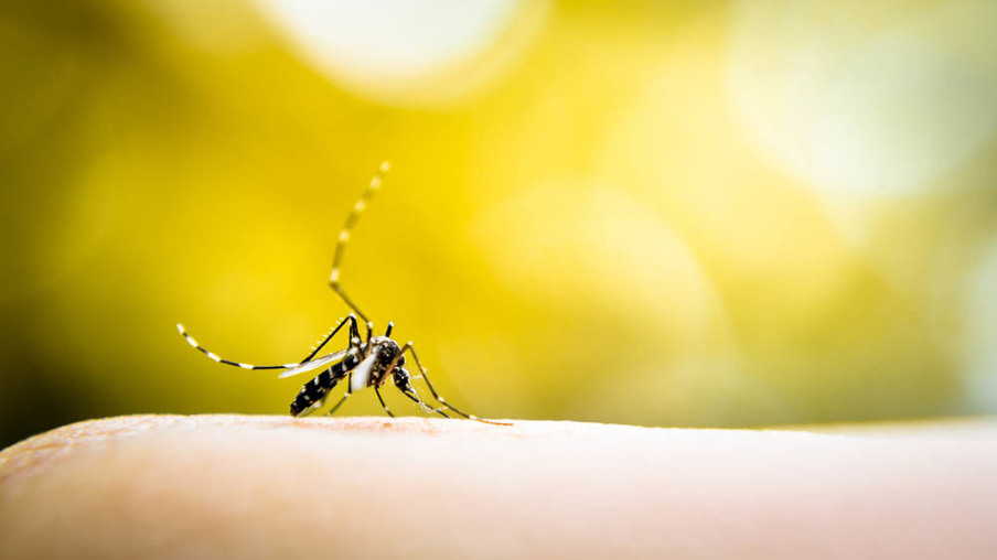 Governador anuncia mutirão de combate à dengue no Paraná
