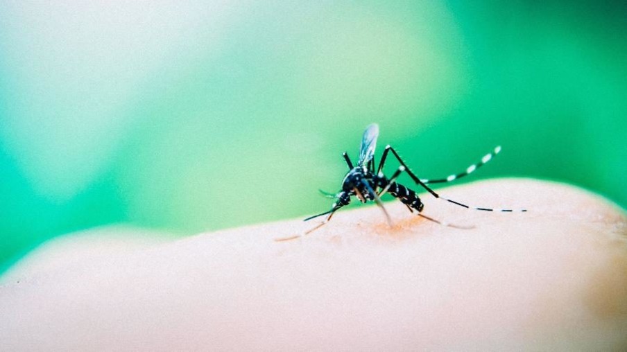 Região oeste tem 2 mil casos de dengue confirmados