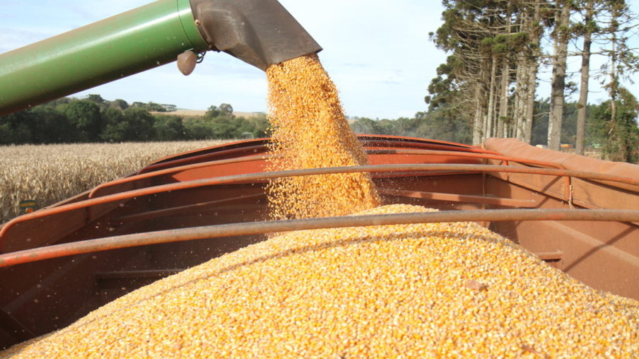 Governo suspende alíquota de importação de milho e soja