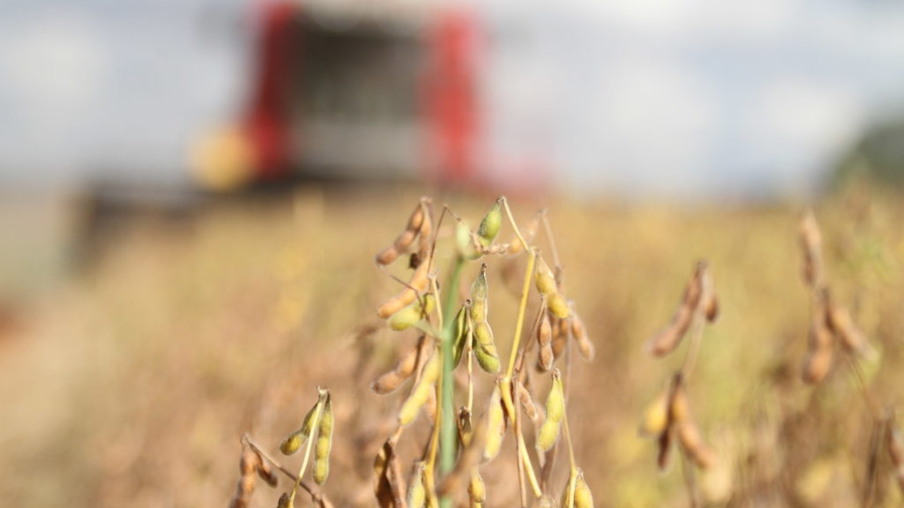 Mercado aquecido: Oeste tem 1,5 mi/ton de soja para vender
