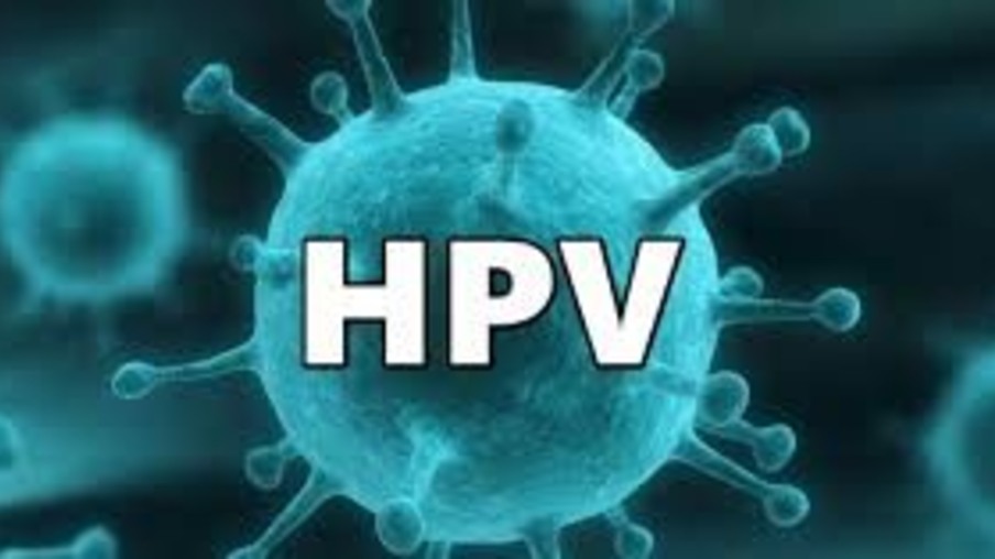 HPV afeta mais de 53% dos brasileiros