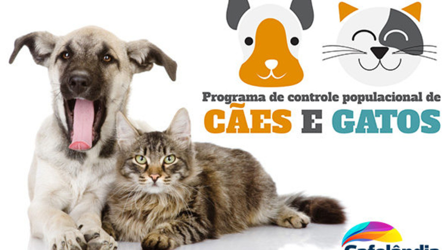 Governo de Cafelândia lança programa de controle populacional de cães e gatos