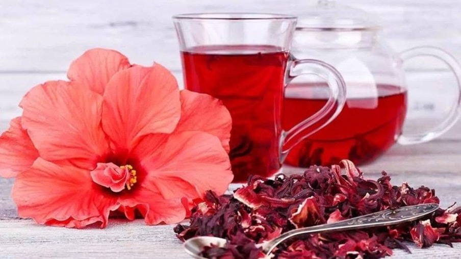 Os benefícios do chá de hibisco