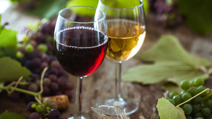 Vinho não é tudo igual: saiba a uva que dá origem a cada vinho