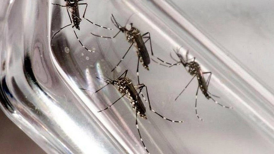 Paraná registra 104 novos casos de dengue em uma semana