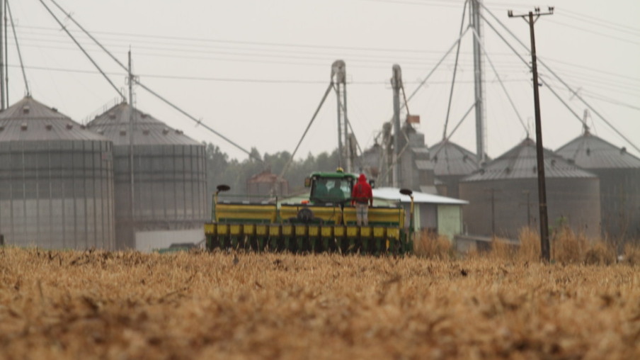 Plantio da soja: Produtores intensificam cultivo e torcem por chuva