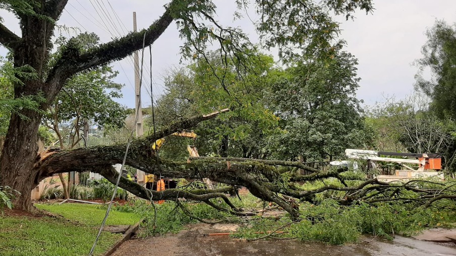 Árvore cai no Loteamento Turisparque e moradores ficam sem energia elétrica