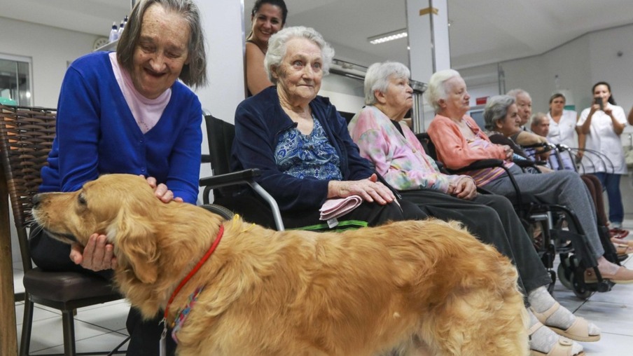 Projeto Meu Amigo Animal proporciona alegria para idosos de Toledo