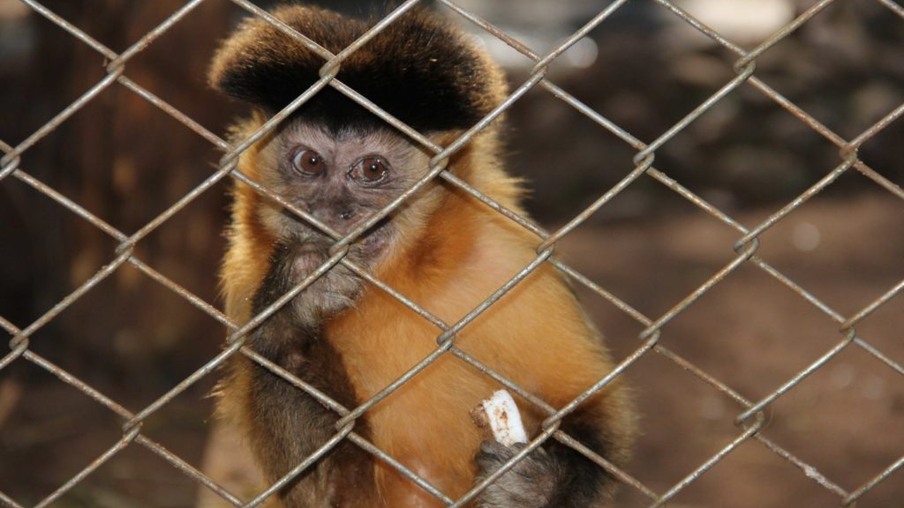 Zoo de Cascavel já recebeu mais de R$ 4 milhões em obras