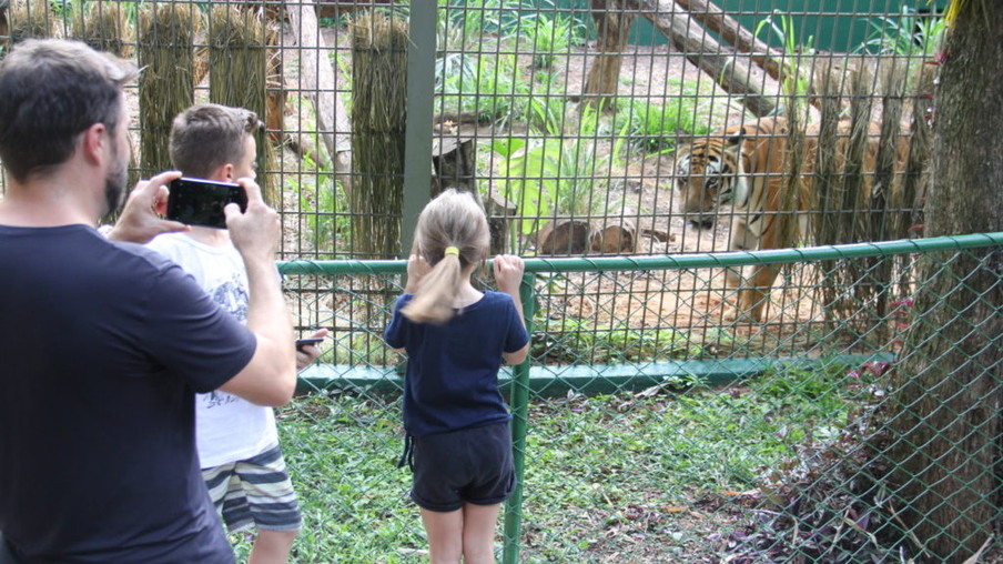 Zoo Municipal completa 41 anos e recebe melhorias
