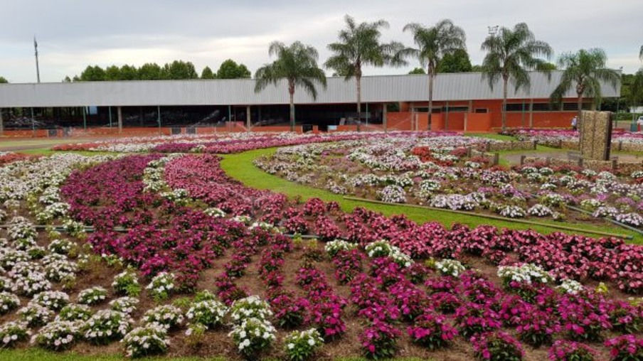 Jardins já dão colorido ao parque que vai receber o 32º Show Rural