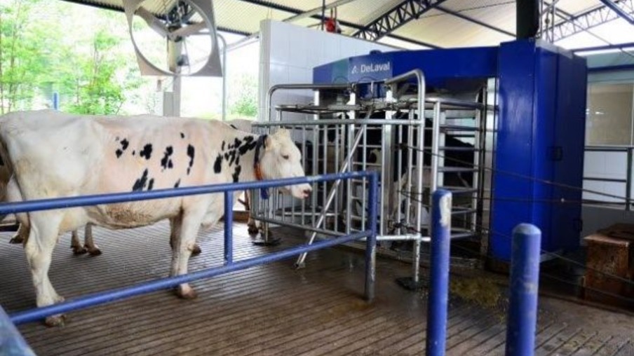 Show Rural vai apresentar ciclo com robôs na pecuária de leite