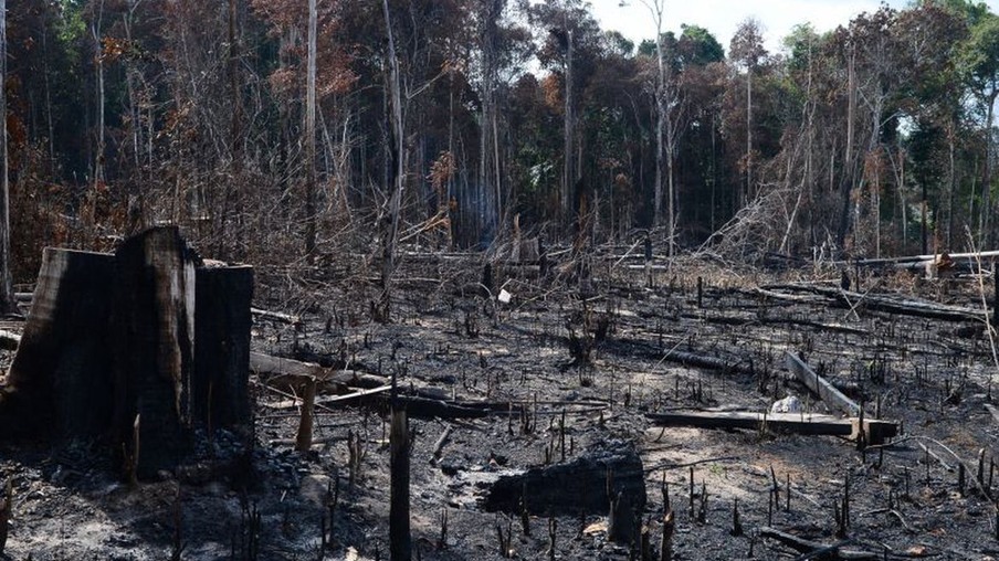 Conselho da Amazônia Legal anuncia operação em áreas protegidas da Amazônia Legal