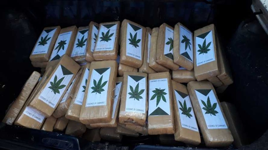 Polícia apreende 70 toneladas a mais de drogas no primeiro semestre