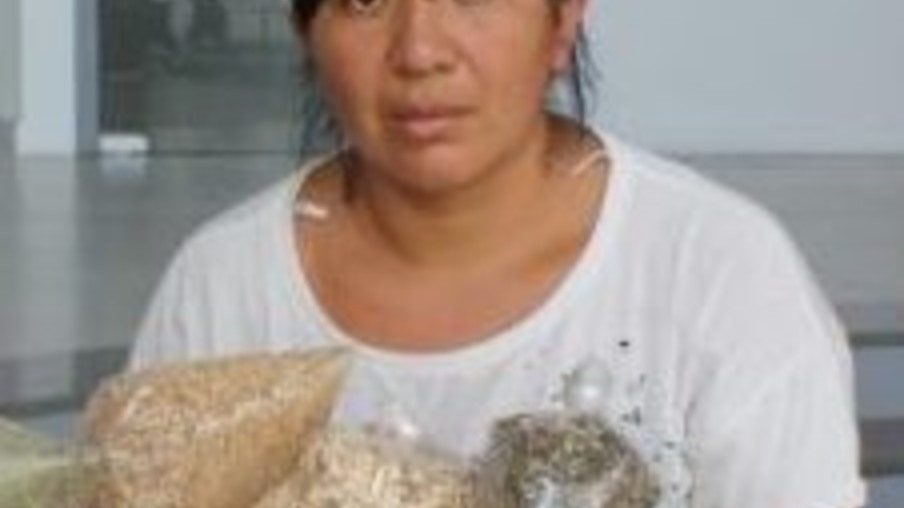 Indígena divulga tratamentos com ervas medicinais em Cascavel